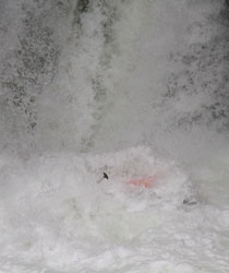 Chute1 Chute1